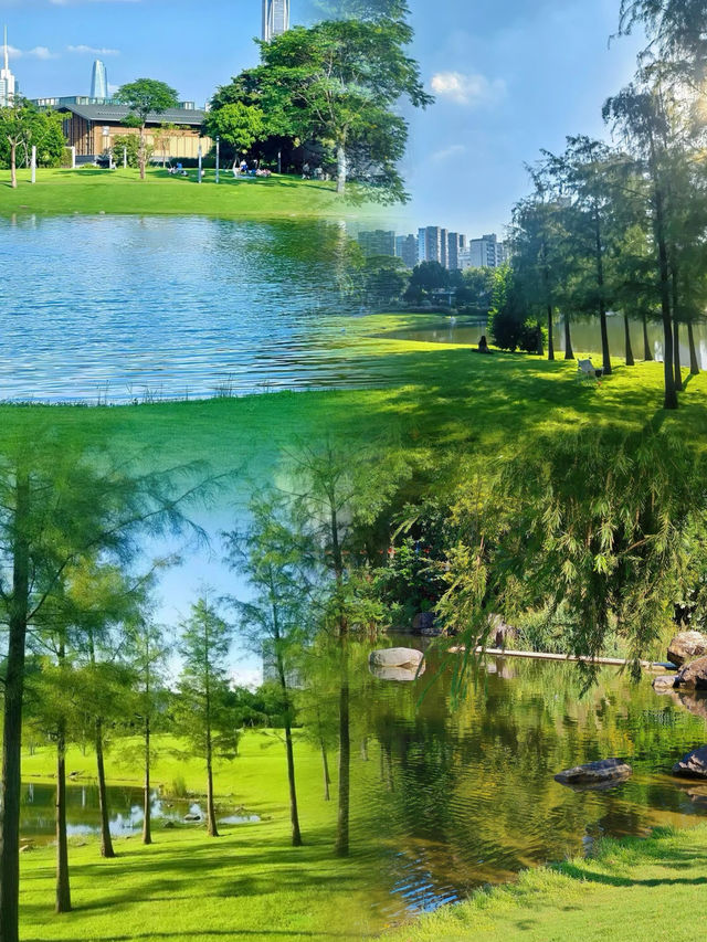 深圳寶藏公園，邂逅城市中的詩意之境