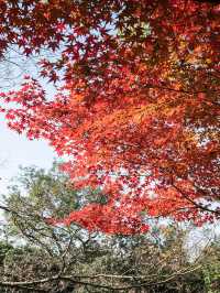 上海桂林公園