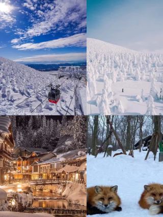 3 Must-Dos in Sendai, Hanyu Yuzuru's Hometown