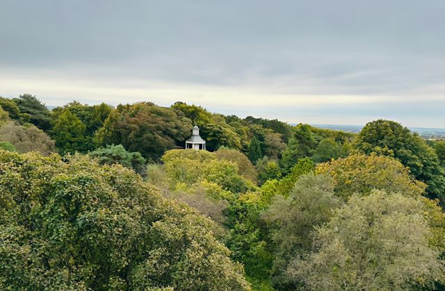 蘭卡斯特威廉姆森公園｜在時光中邂逅自然與歷史的美