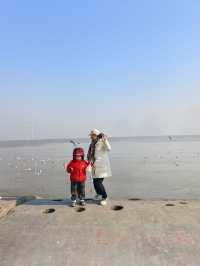 自駕天津東疆親海公園，帶娃看海鷗
