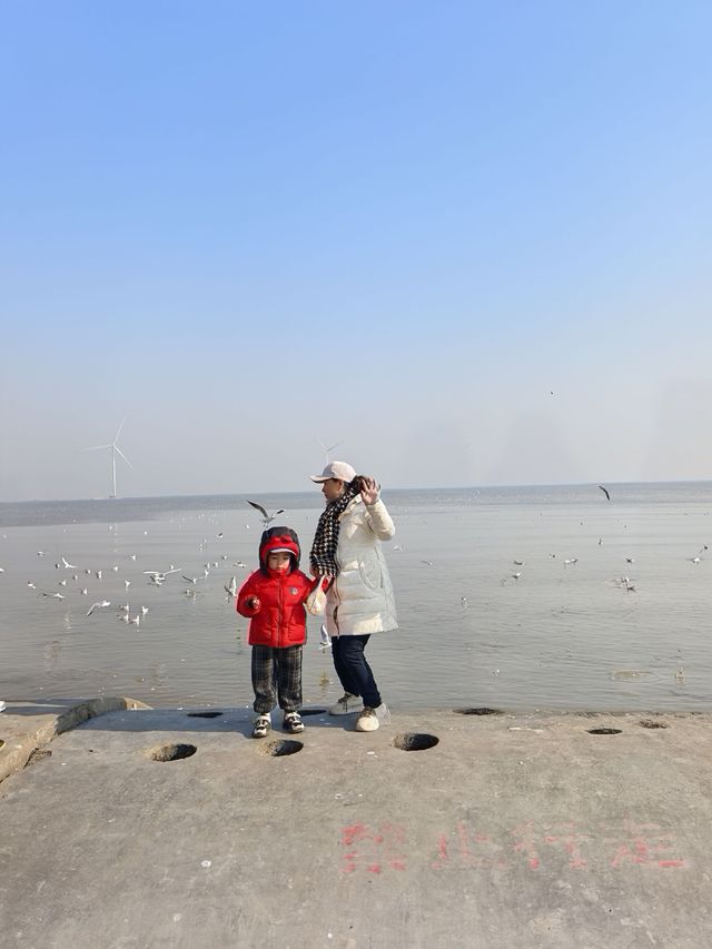 自駕天津東疆親海公園，帶娃看海鷗