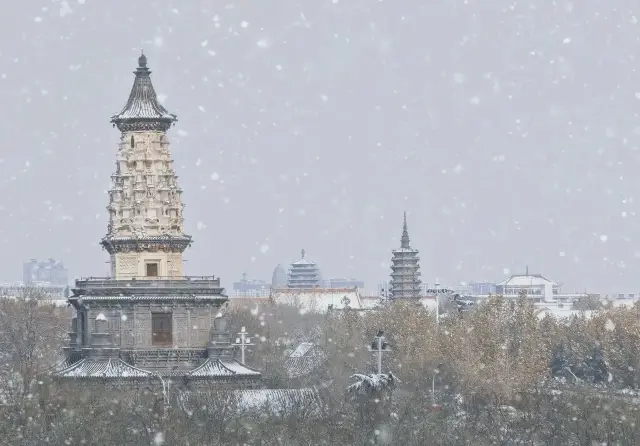 눈 없는 스자좡, 아쉽네요