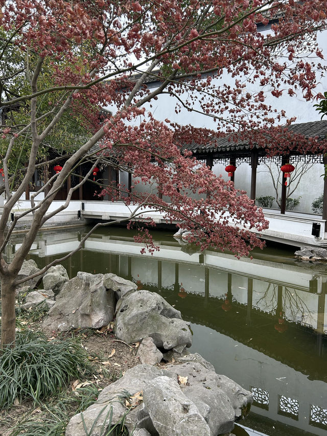 秋霞圃｜上海著名古典園林，一步一景，秀色迷人