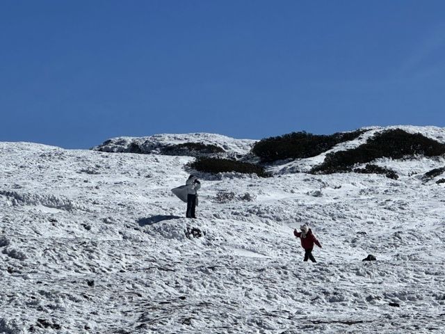 春節去昆明轎子雪山，開啟冰雪奇緣之旅！