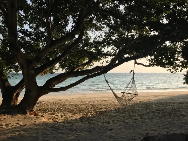 อย่าพาเด็กๆ มาที่เกาะพีพีใหญ่