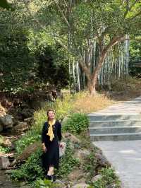 廣州從化宮崎駿風麥田打卡全攻略 |
