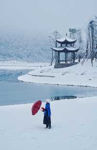 雪落南天湖，繪就冬日幻景