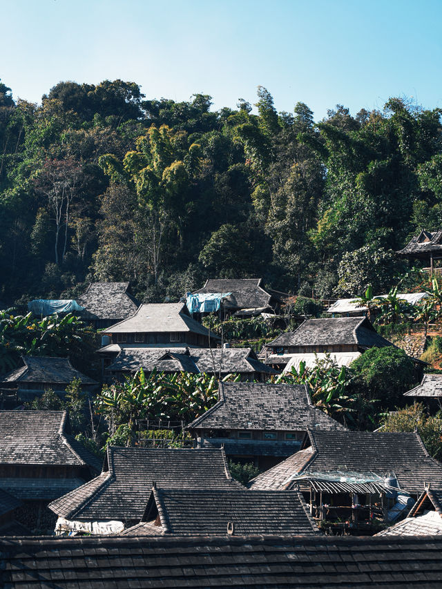 推薦一個遺世獨立又溫暖治癒的地方