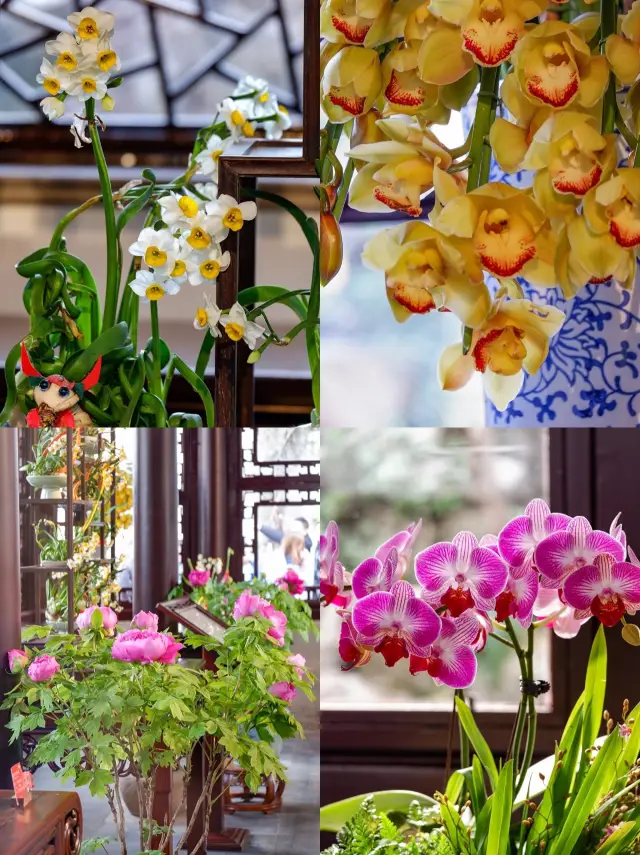 蘇州一日遊丨非典型旅遊路線推薦