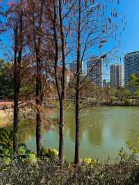 🌳 珠海的自然樂園 - 香山湖公園 🌳
