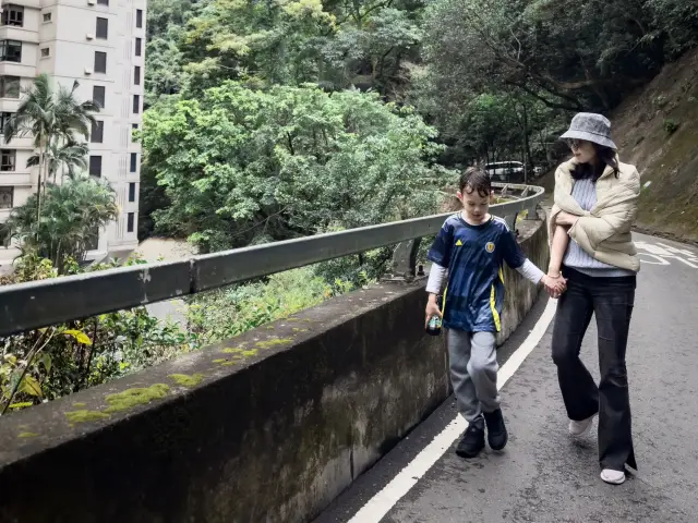 山頂道健行！