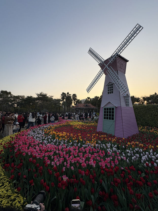 春日遊園，邂逅廈門的浪漫花海