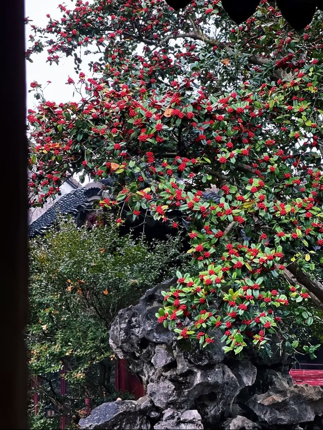 蘇州8座小眾園林的春和景明附賞花遊路線