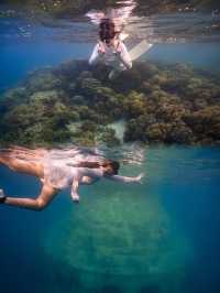 關島潛水寶藏指南：解鎖海底奇遇，安全暢遊秘笈