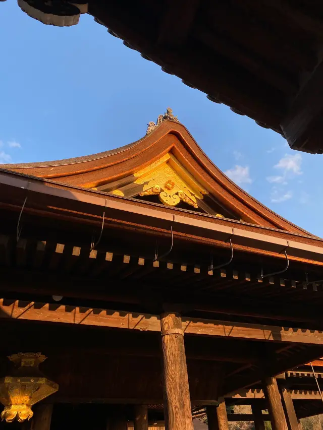 5-Day Japan Exploration: A Detailed Guide to the Whole Country
