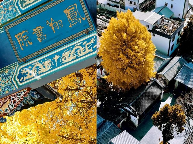 被譽為大理威尼斯，比大理更靜謐，人少景美