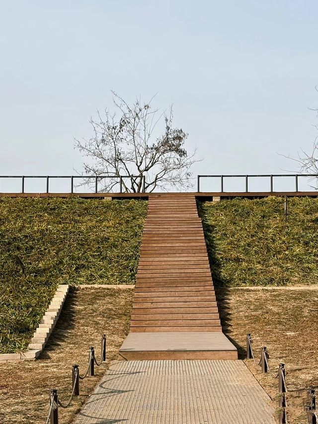 鍾意西安每個有陽光嘅日子 鍾意西安每個有陽光嘅日子