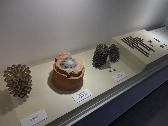 韓國·清州 | 清州古印刷博物館