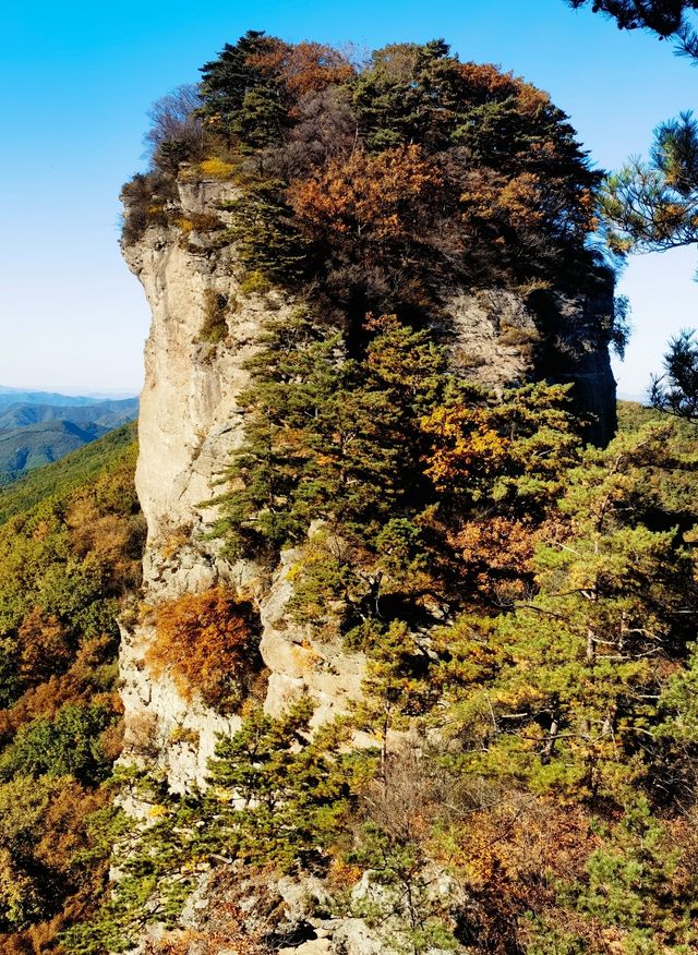 打卡 - 五女山風景區