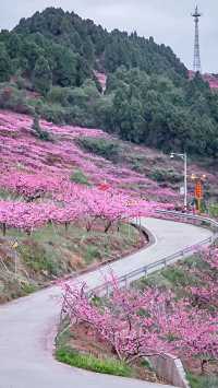 被千島湖治癒的一天