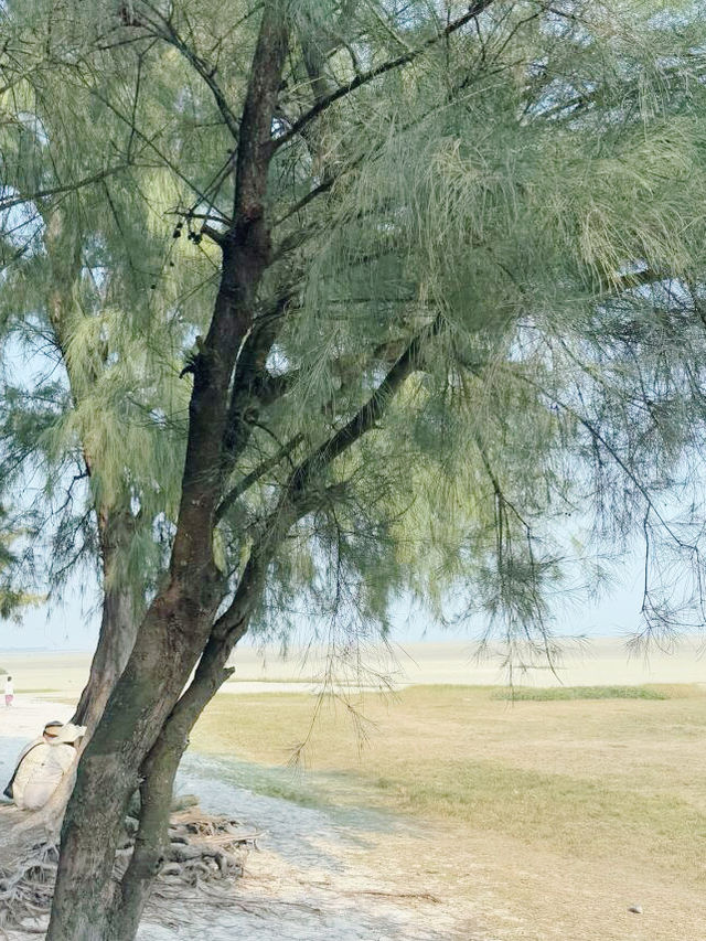 北海已回，說點難聽的大實話