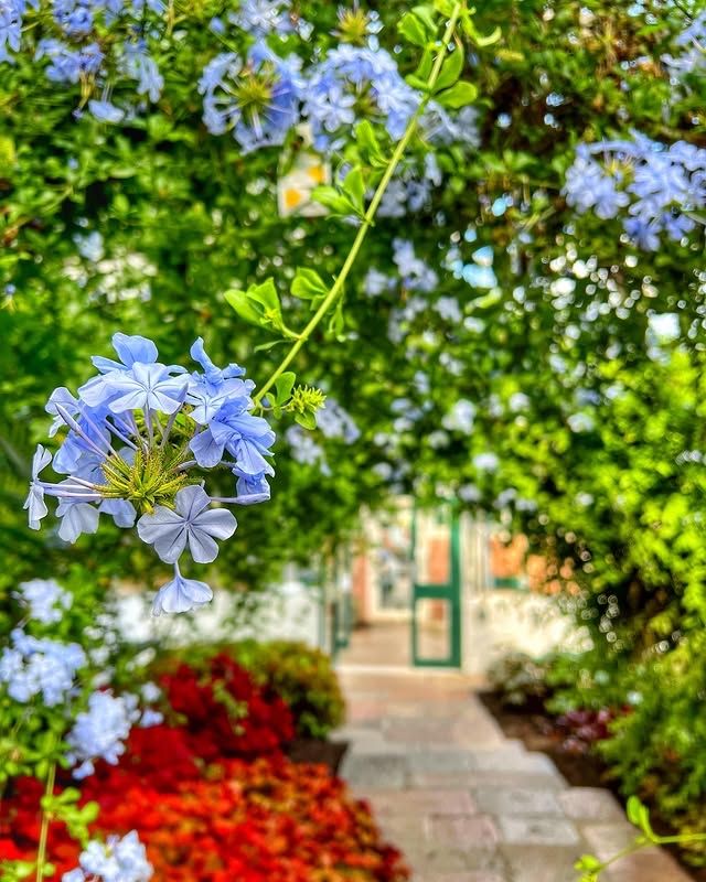 英國阿伯丁 | 戴西公園——城市中的寧靜綠洲