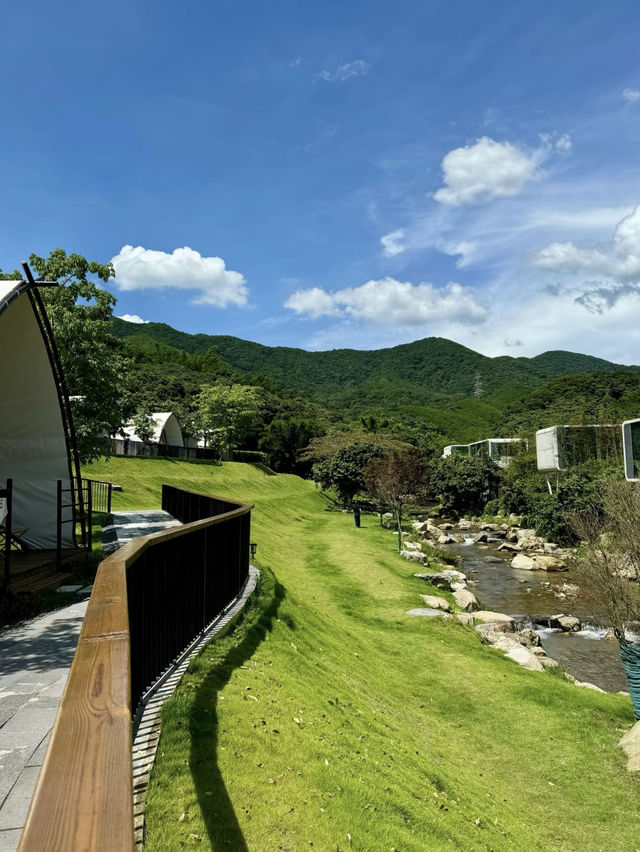 夢幻露營：天人山水房車露營地的靜謐時光