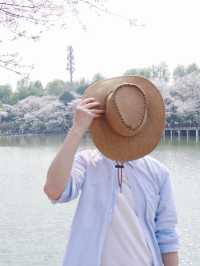 湖南省植物園賞花全攻略，植物園的櫻花開了