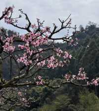 探秘川西秘境：眉山幸福古村的詩意棲居