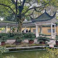 2025好去處｜人好少，春遊重慶渝中區鵝嶺公園，很舒服嘛