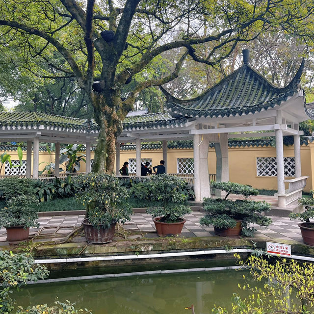 2025好去處｜人好少，春遊重慶渝中區鵝嶺公園，很舒服嘛