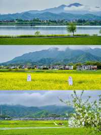 和城市斷交一天，杭州1h直達富春山居圖