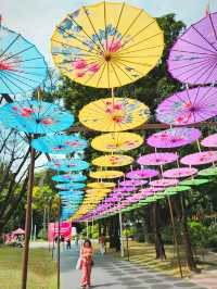 PEOPLE'S PARK in SPRING
