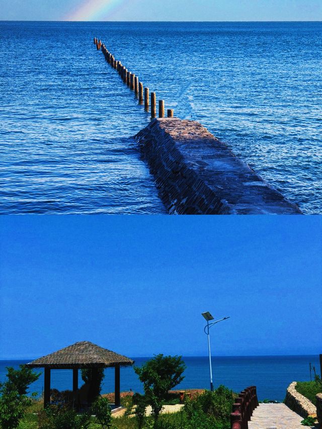 青島春日浪漫之旅 | 山海花海全打卡，搭地鐵直達超方便！