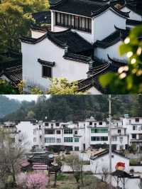 歙縣已回，說點真心大實話。