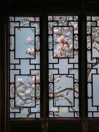 Experience the Enchanting Spring in Suzhou