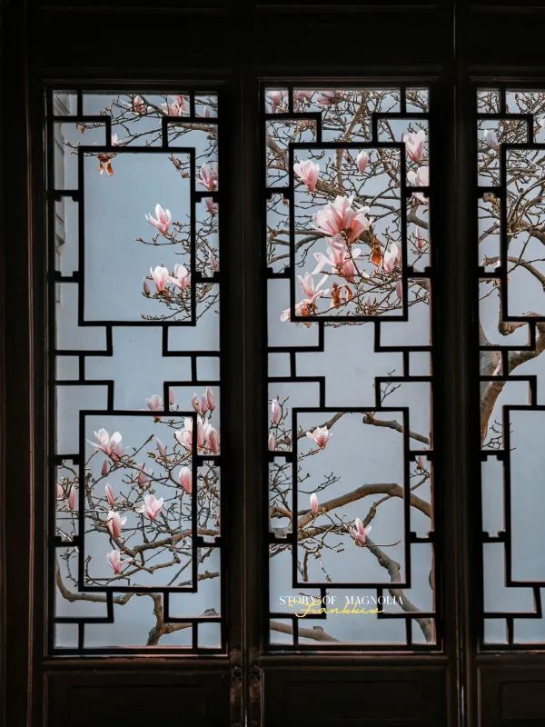 Experience the Enchanting Spring in Suzhou