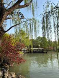 揚州三月旅遊攻略，碼住碼住