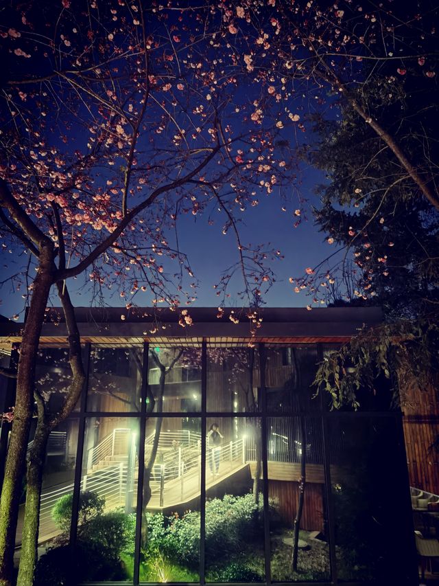 昆明賞櫻秘境！和念半山森林酒店，浪漫到窒息