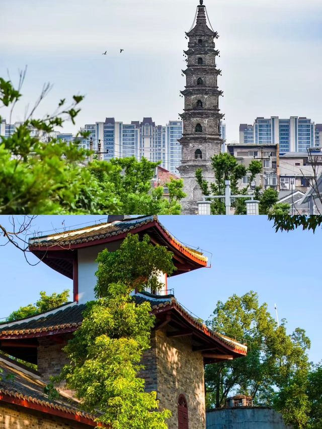 岳陽已回，我的建議是…跟著風兒去旅行