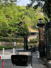 板障山森林公園：徒步邂逅自然之美