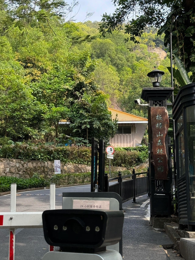 板障山森林公園：徒步邂逅自然之美