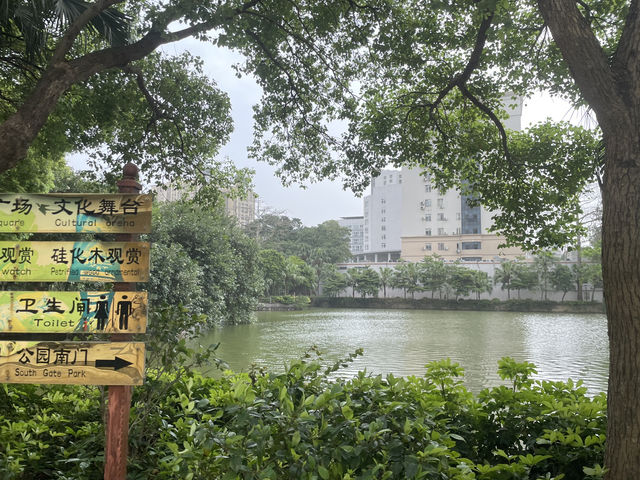 《春城公園｜不是用來打卡，是用來觀察人生百態的地方》