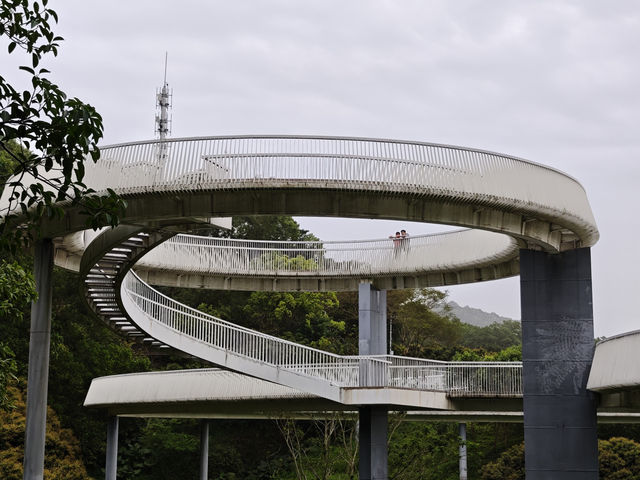 城市中的綠洲｜大頂嶺山林公園的自然體驗