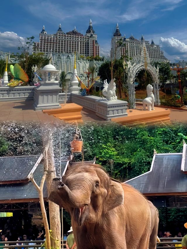 雲南西雙版納| 五一避開人群玩法大揭秘