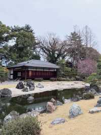 在二條城時空漫遊，解鎖將軍的春日度假庭園