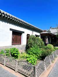 濰坊春日賞櫻花 | 奎文門+十笏園超全攻略