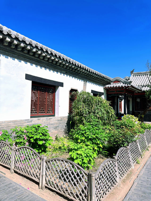 濰坊春日賞櫻花 | 奎文門+十笏園超全攻略