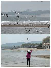 【河北秦皇島～北戴河老虎石海上公園】